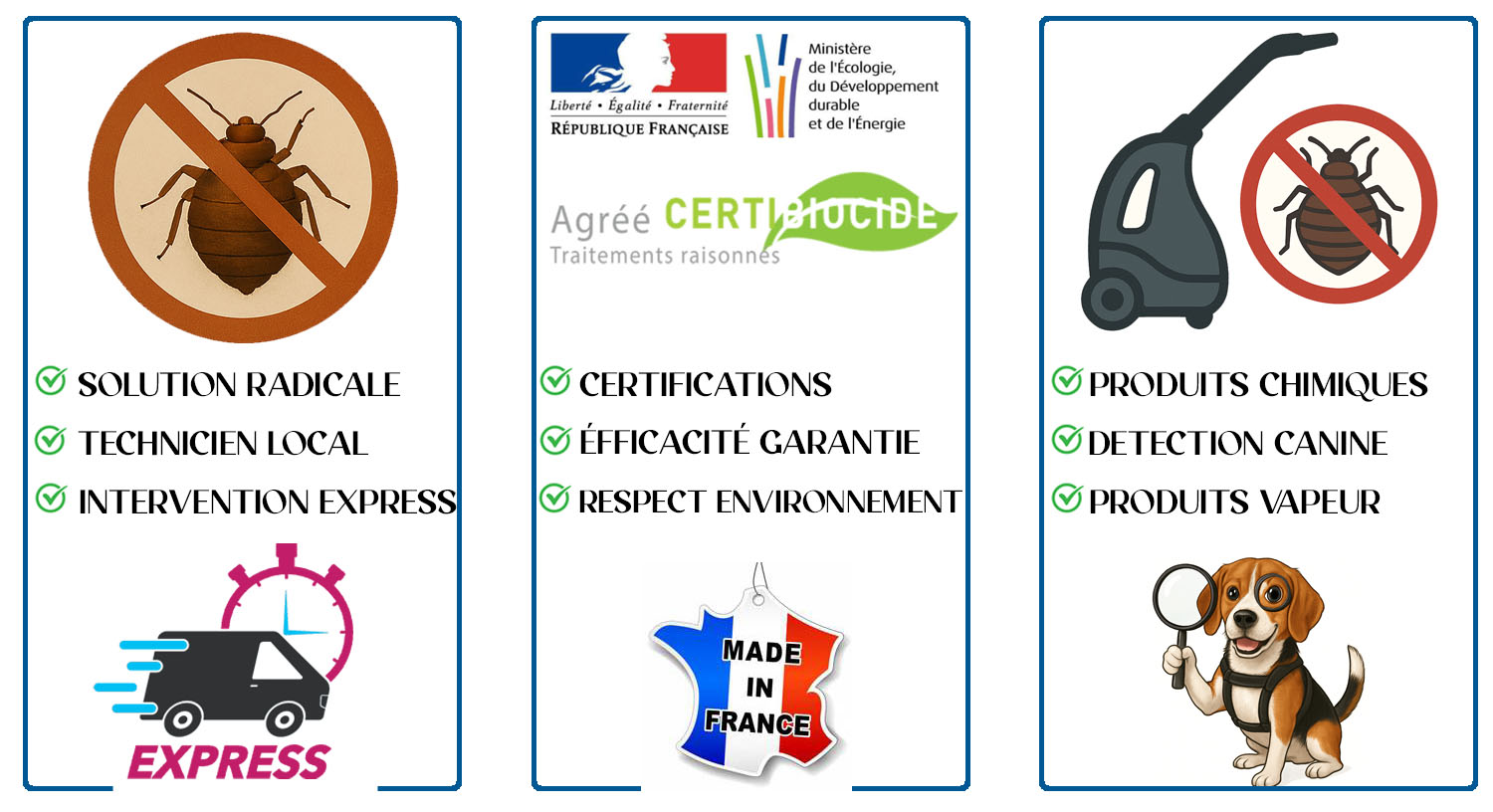 Punaises de Lit Montrouge