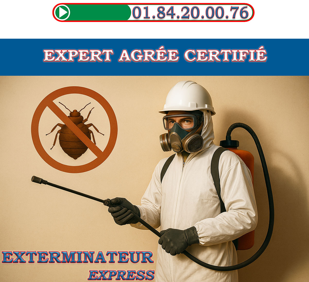 Punaises de Lit Montrouge